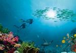 Diving Introduction (1 dive) Tiran Island
